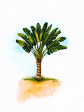 Reproduction - Le Voyageur