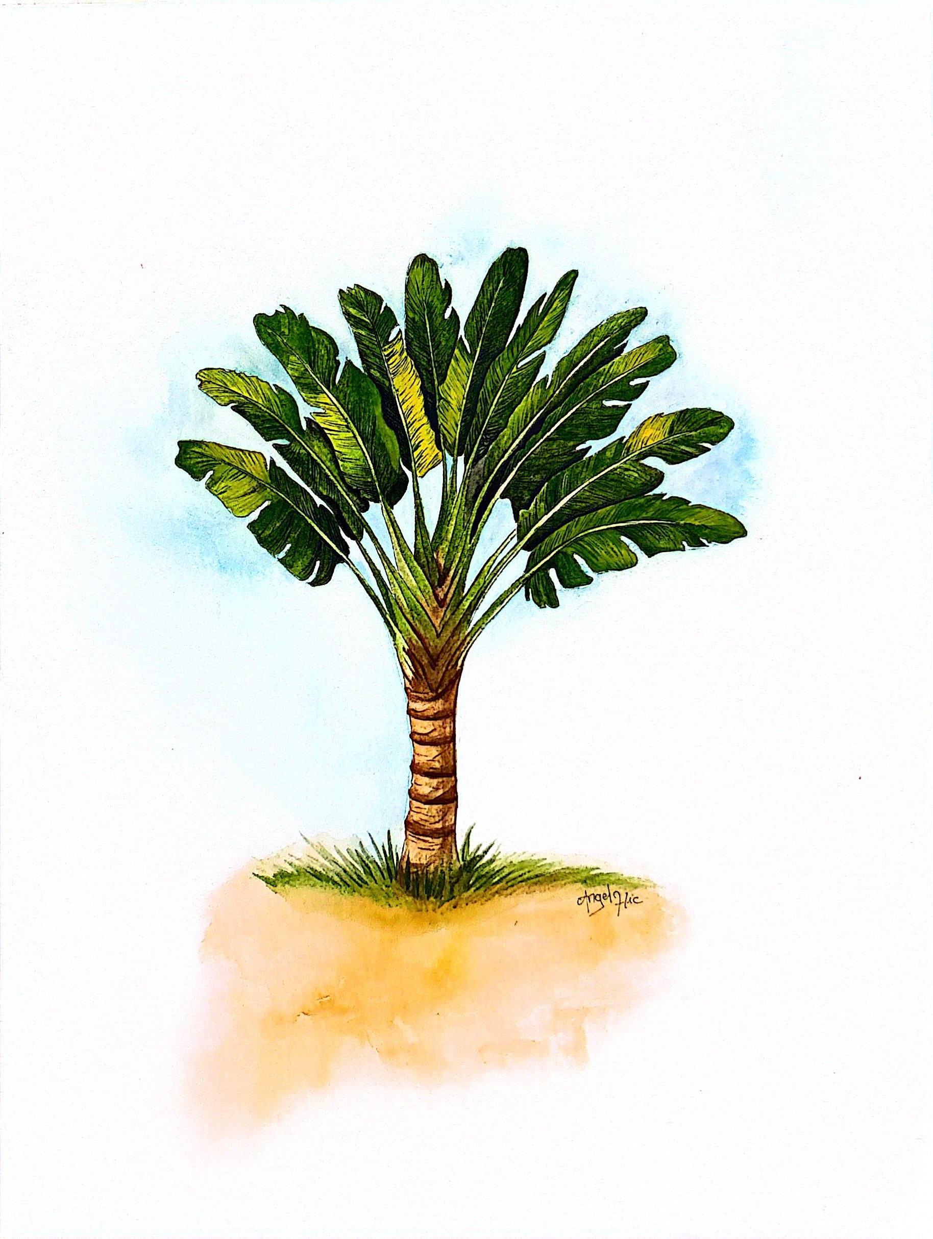 Reproduction - Le Voyageur